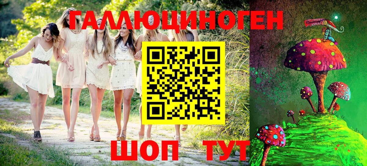 Псилоцибиновые грибы Cubensis Сарапул